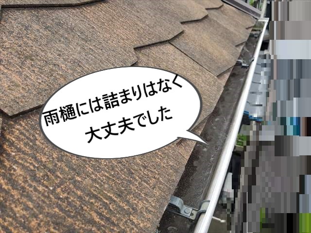 雨樋　詰まりなどなし